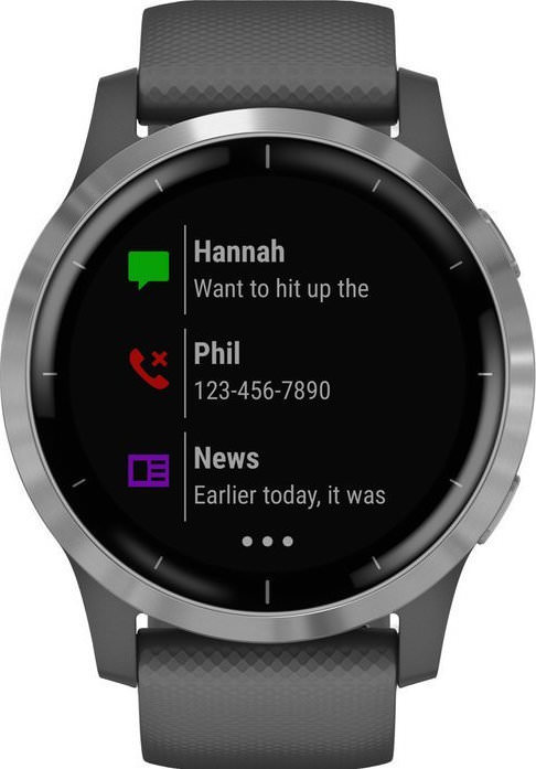 Garmin Vivoactive 4 with Gray Silver Buckle EU